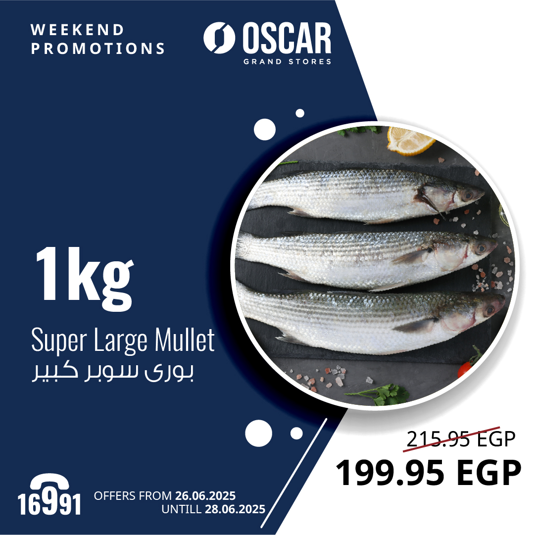 oscar offers from 25jun to 6jun 2025 عروض أوسكار من 25 يونيو حتى 6 يونيو 2025 صفحة رقم 1